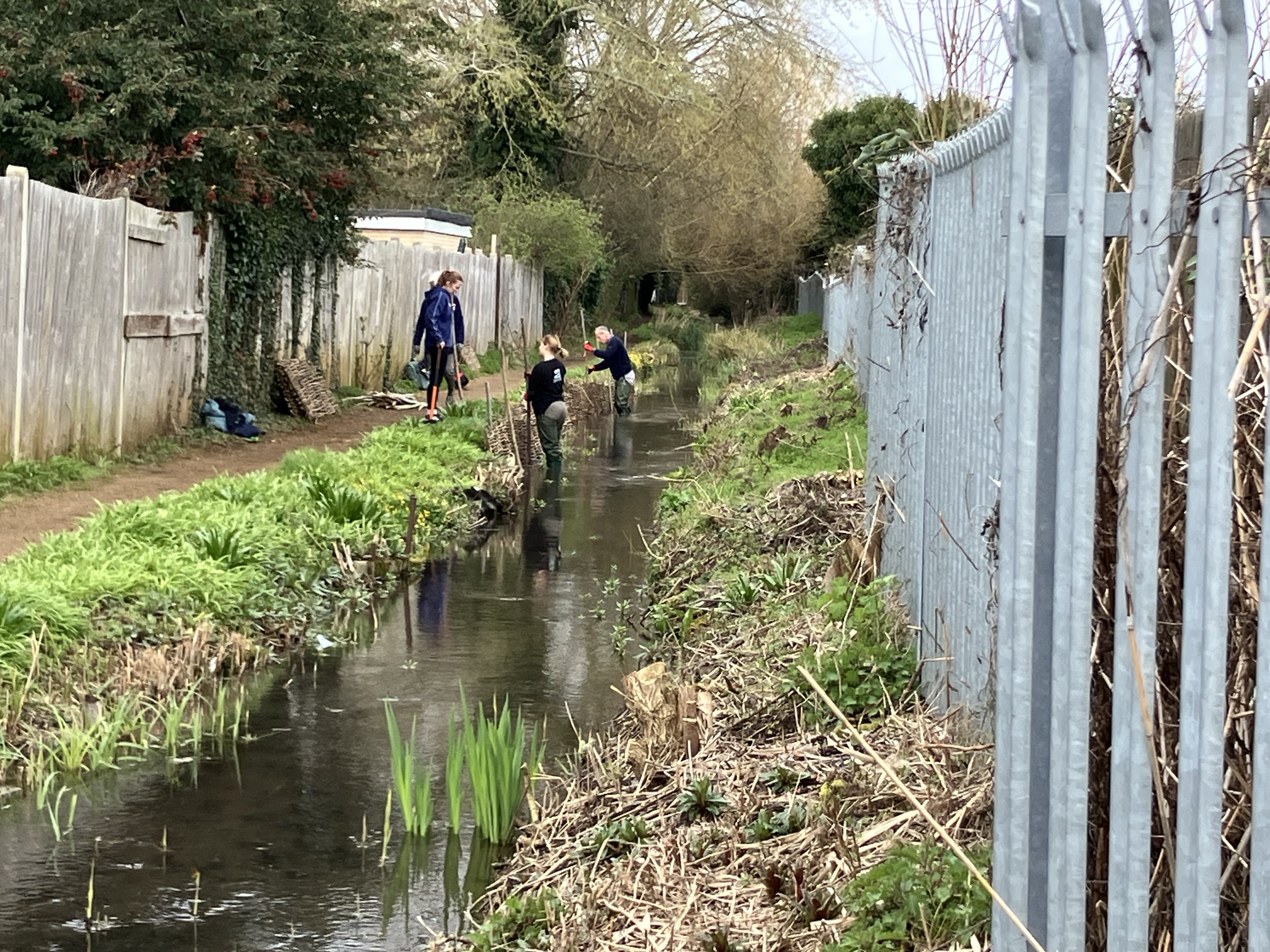 People working to restore Cherry Hinton Brook in Cambridge