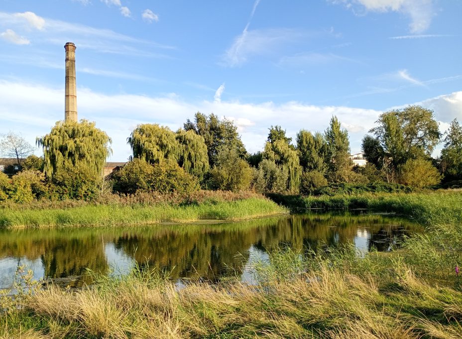 Logan's Meadow local nature reserve
