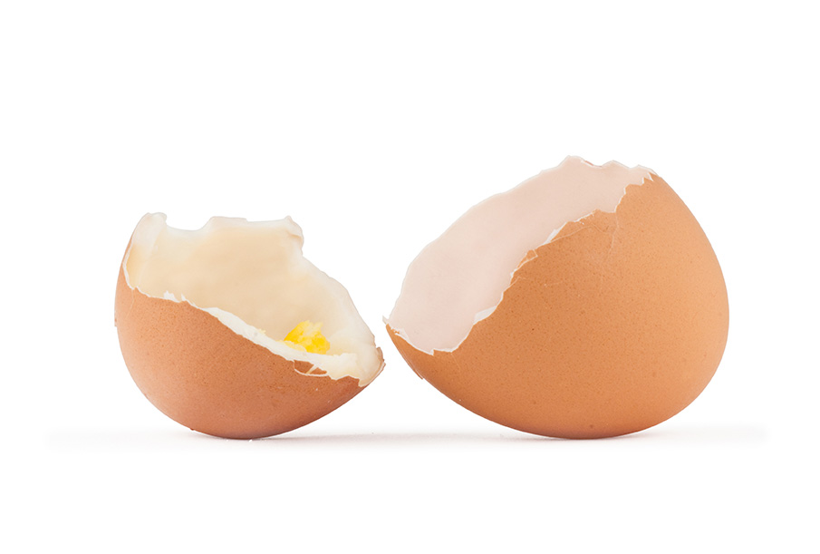 Egg shells