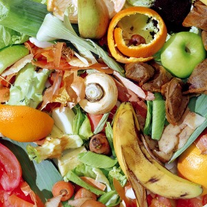 Food waste