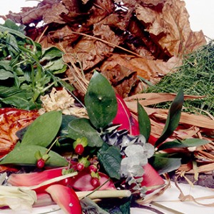 Garden waste