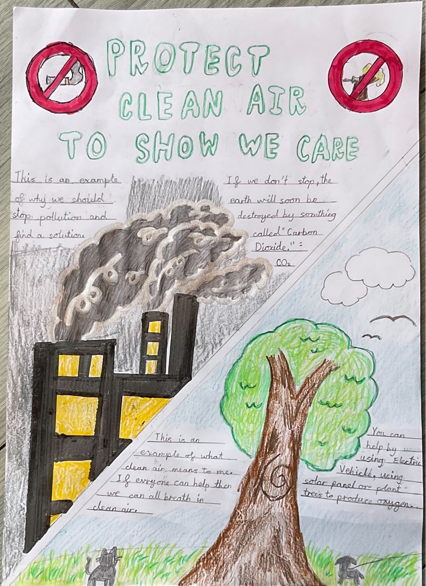 Winner 3: Liz, Year 6, Cherry Hinton Primary School