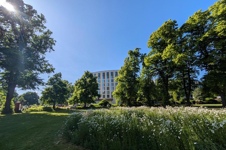 Meadow featured on the front cover of our Climate Change Strategy