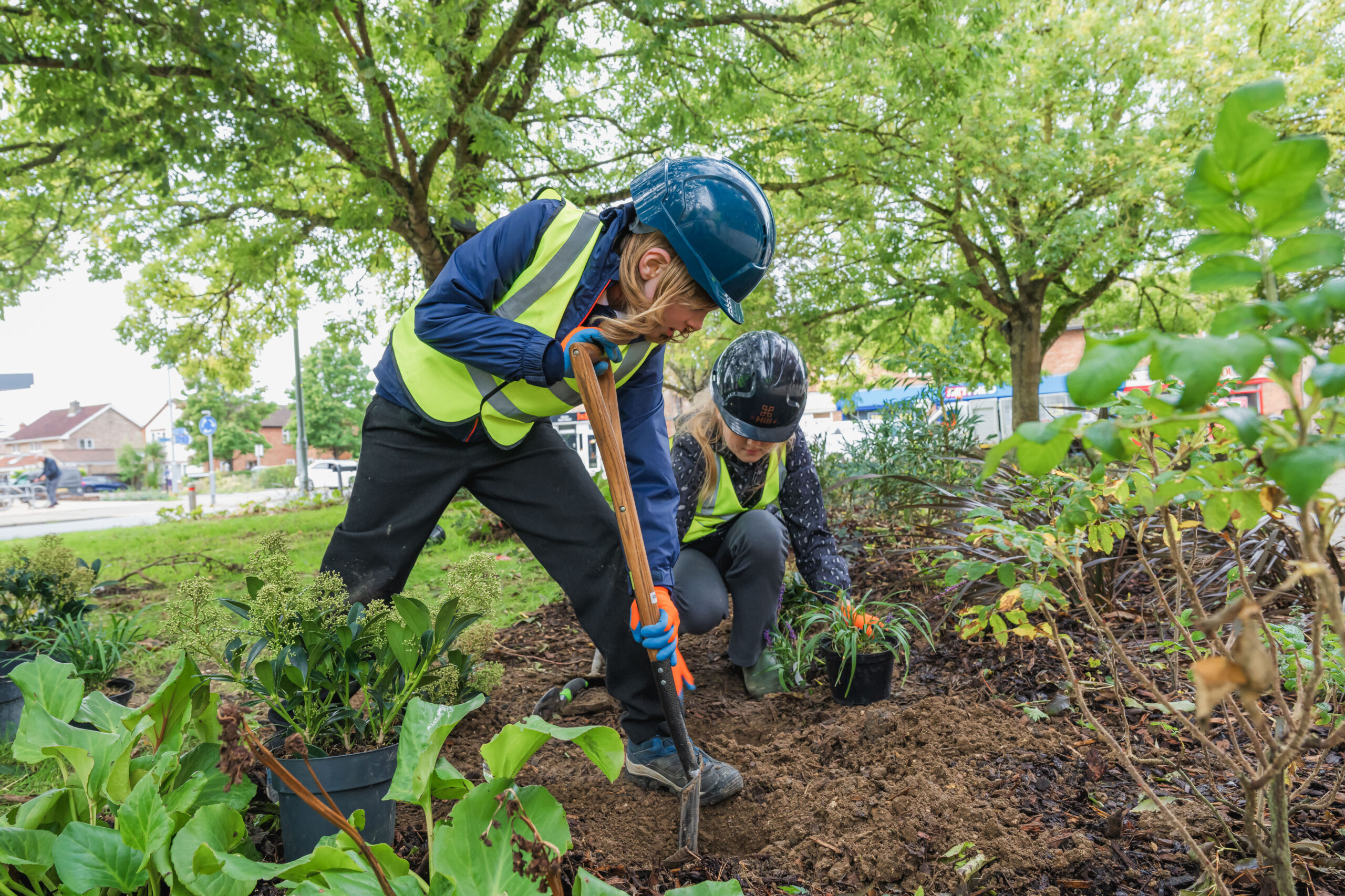 Tree Planting At Colville Road Phase 3 5 Scaled